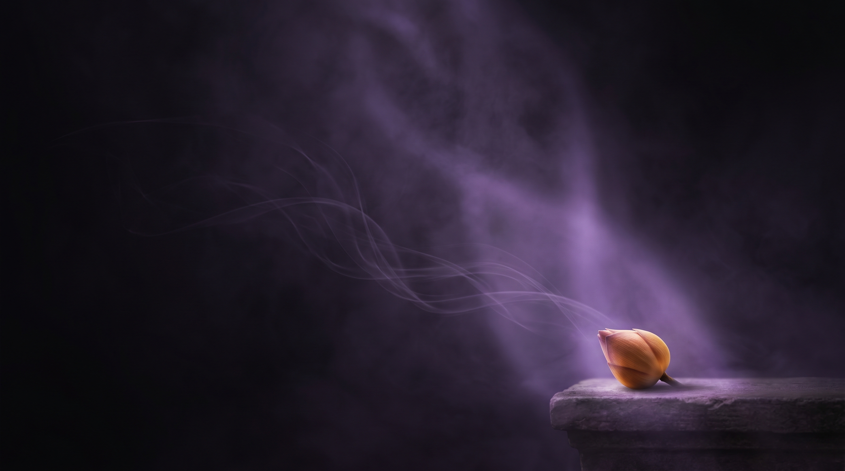 做每一道的旁观者：破除人道知见与升华慈悲