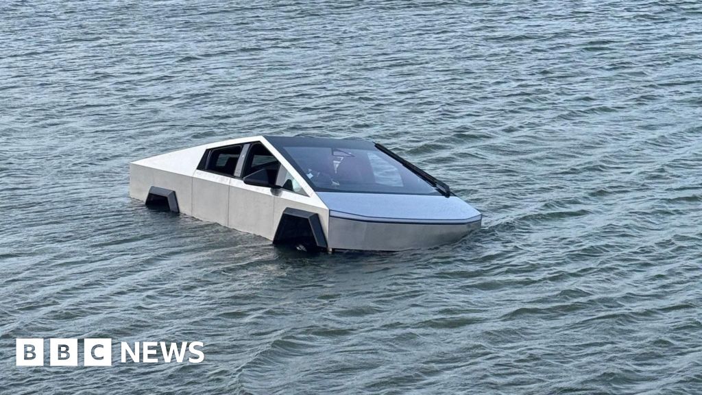 涉事 Tesla Cybertruck 在湖边水域受困。