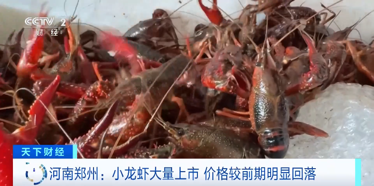 河南市场小龙虾集中上市，批发价格回落。