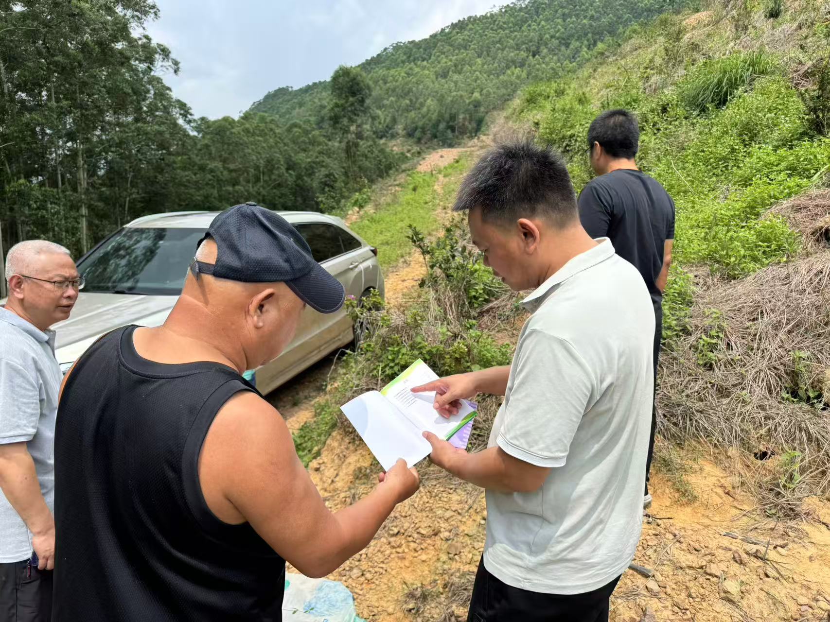 林业技术人员在林地开展回访服务。