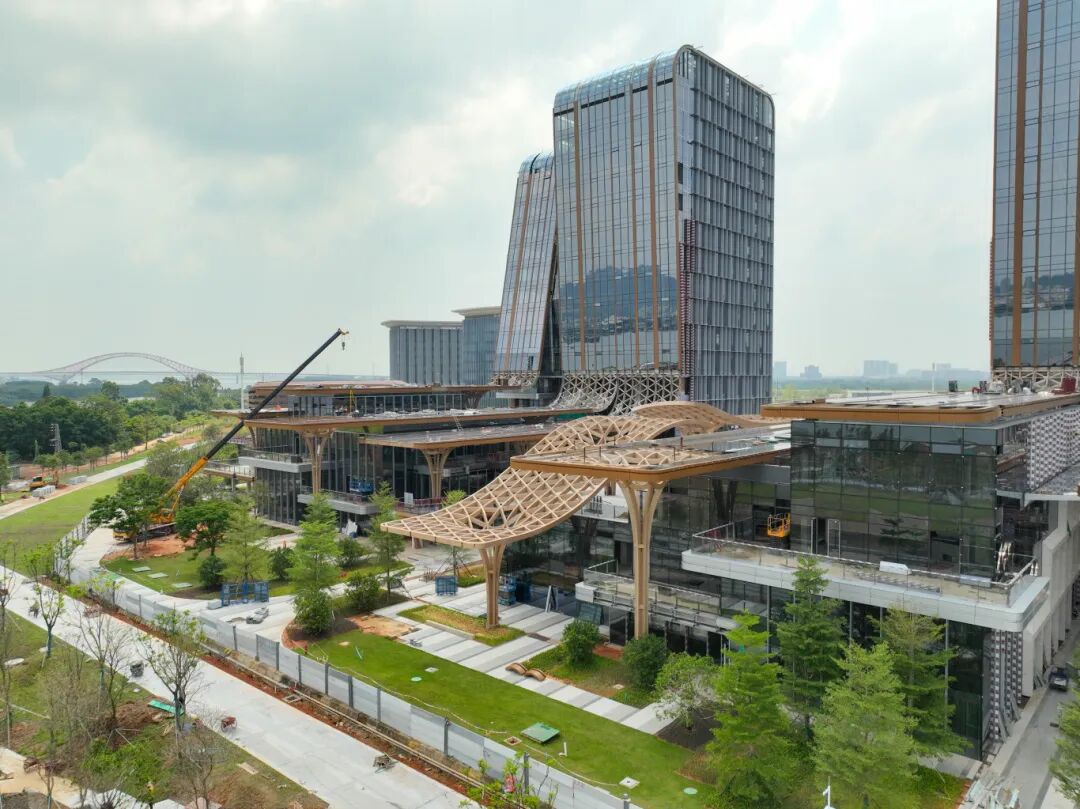 南沙期货产业园冲刺开园报道所配园区画面。